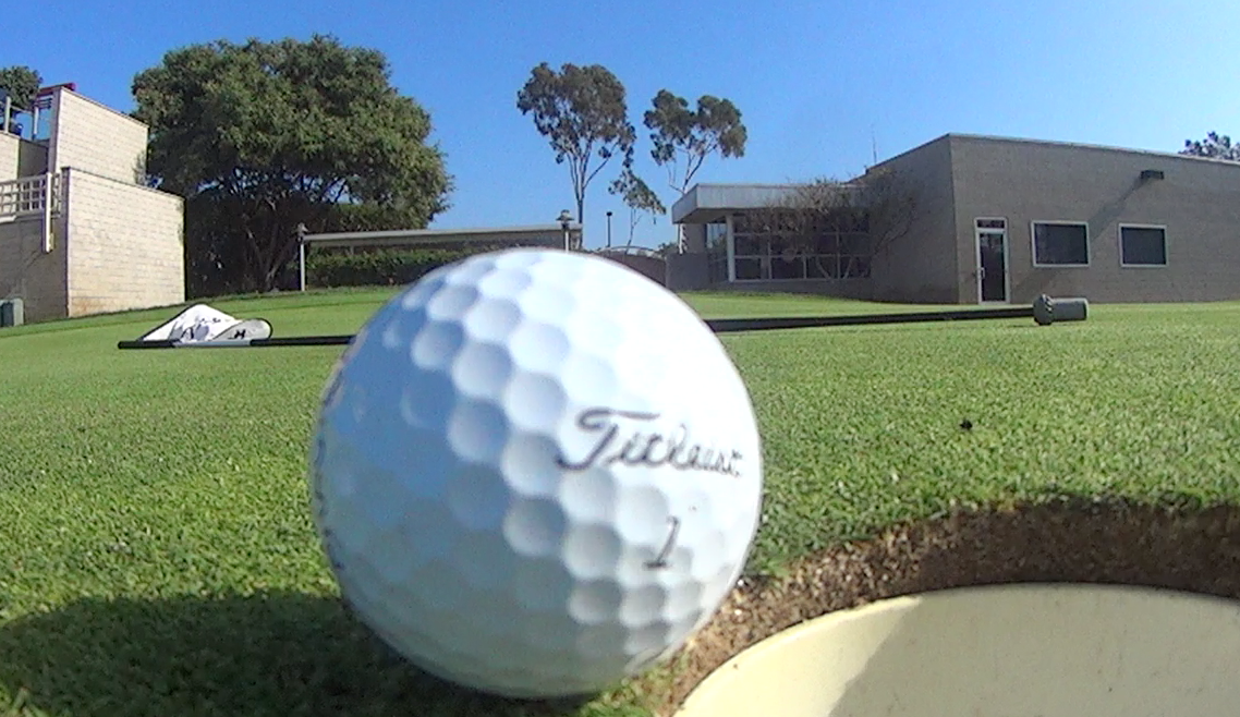 A New Motor Control Theory | Article | TPI