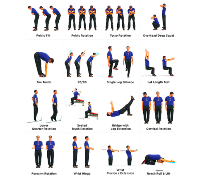 We know that the gluteus maximus is - NeuroKinetic Therapy