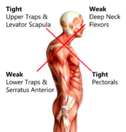 Weak obliques online