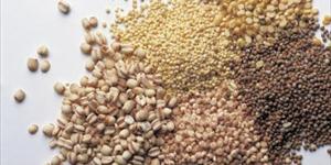 Grains and Inflammation